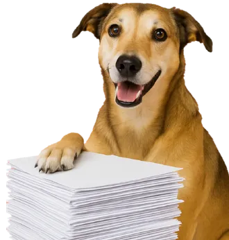 Telforce hond bij klantcases