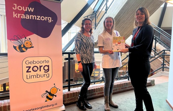 Geboortezorg Limburg in de praktijk